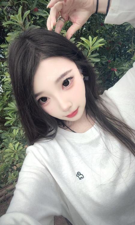 黄浦出击软软小猫咪