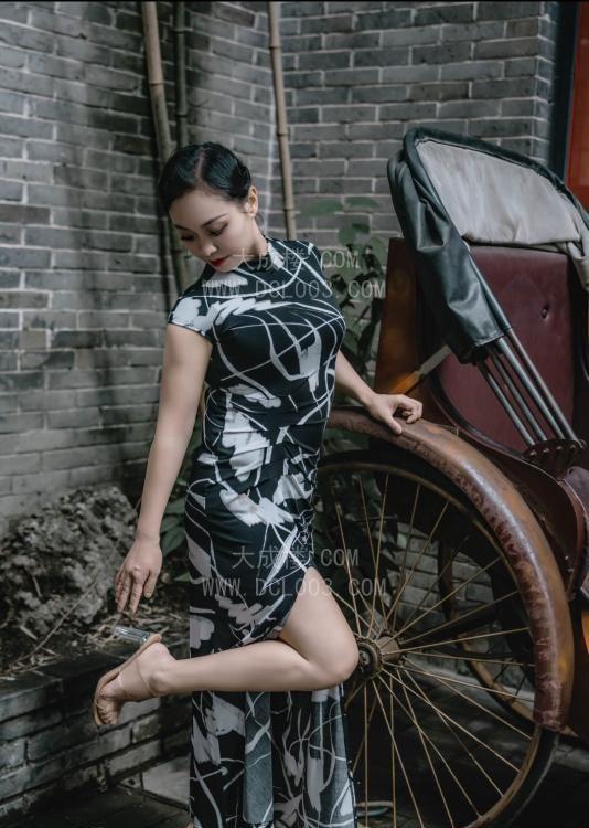 成都建设路服务控燕子