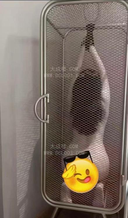 罗湖奶霸景甜